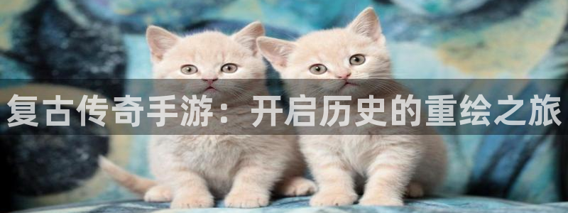 28大神怎么下载不了:复古传奇手游:开启历史的重绘之旅