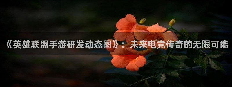 28大神算法公式:《英雄联盟手游研发动态图》:未来电竞传奇的