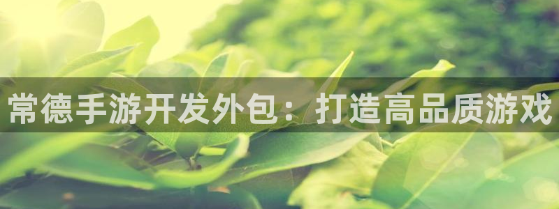 28大神怎么找不到了：常德手游开发外包：打造高品质游戏