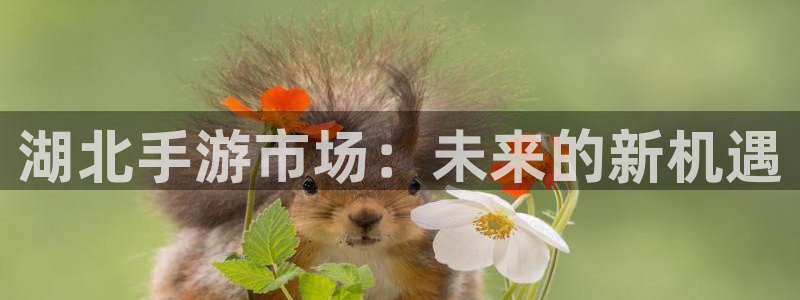 28大神预测组合：湖北手游市场：未来的新机遇