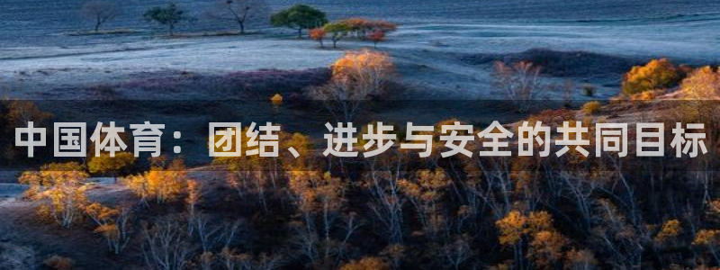必一运动体育