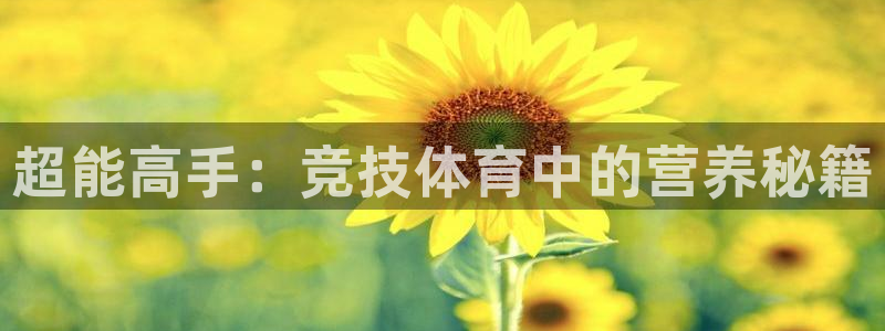 必一运动体育官网入口