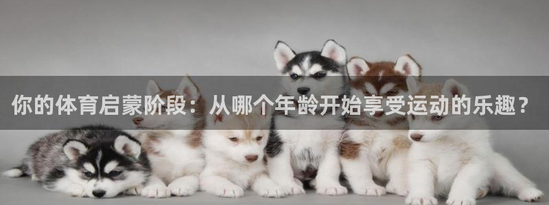 b体育必一运动官网