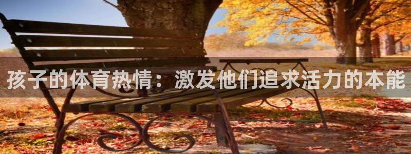bsports官网 必一运动
