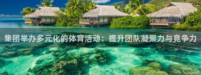 b体育必一运动官网