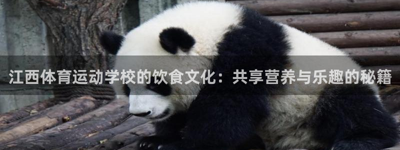 必一运动app