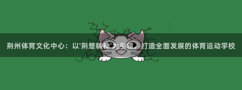 必一运动bsport体育