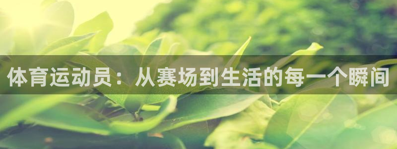 bsports官网 必一运动