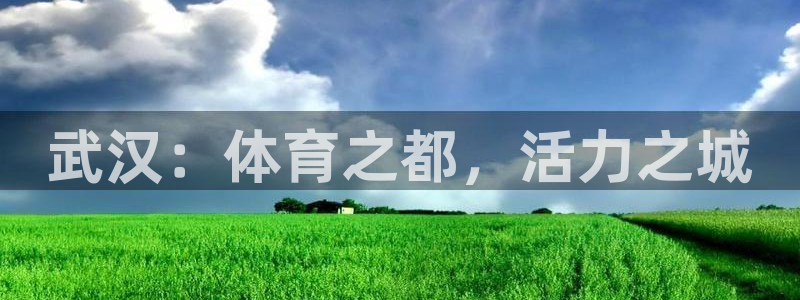 bsport必一运动