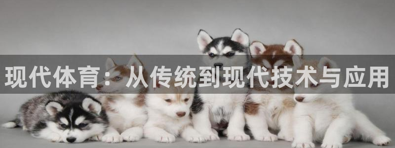必一运动体育