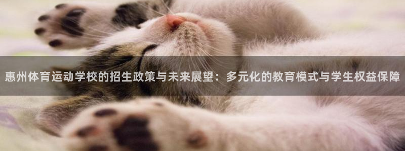 必一运动体育官网
